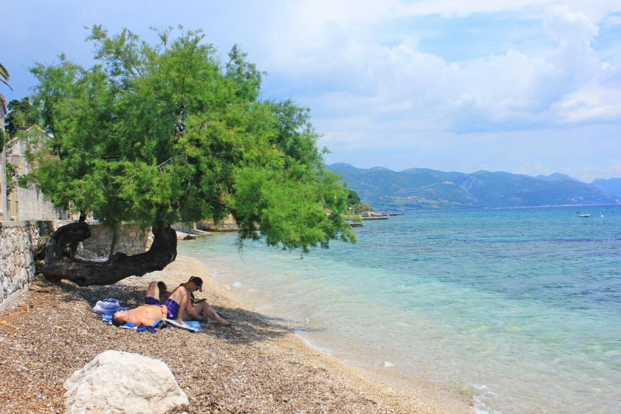 Apartments By The Sea Orebic, Peljesac - 4496 Exteriér fotografie